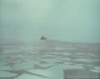 7371.jpg (25kb)