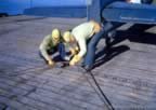 2606.jpg (78kb)