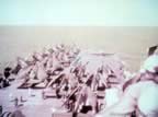 5079.jpg (63kb)