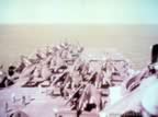 5094.jpg (63kb)