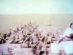 5095.jpg (63kb)