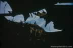 Damage to USS Franklin