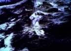 4423.jpg (114kb)