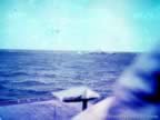 4122.jpg (82kb)