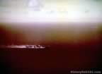 5595.jpg (45kb)