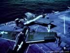 3620.jpg (99kb)