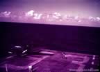 3113a.jpg (55kb)