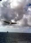 14768.jpg (41kb)