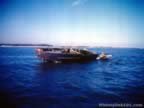 Amphibious Craft of WWII