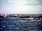 Amphibious Maneuvers in Hawaii