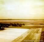 6447.jpg (41kb)