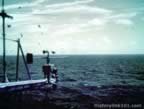 1790.jpg (79kb)