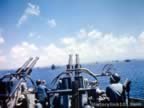 4706.jpg (56kb)