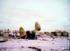 2505.jpg (67kb)