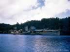 6108.jpg (65kb)