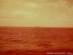 4239.jpg (38kb)