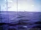 5711.jpg (71kb)