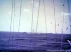 5712.jpg (70kb)