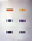 14608.jpg (29kb)
