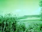 3402.jpg (95kb)