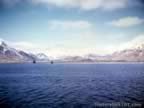 Pictures of Aleutian Islands during WWII