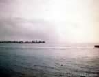 Borneu