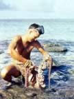 Pictures of Eniwetok during World War II