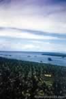 1995.jpg (64kb)
