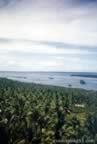 1997.jpg (70kb)