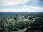 1999.jpg (79kb)