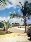 Pictures of Guam during World War II