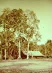 Guadalcanal during WWII