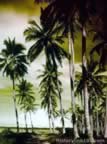 Pictures of Guadalcanal 