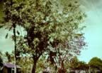 5522.jpg (138kb)