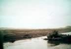 3159.jpg (42kb)