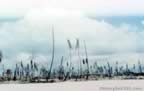 1086.jpg (51kb)
