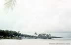 1104.jpg (39kb)
