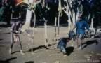 4027.jpg (88kb)