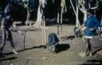 4028.jpg (86kb)