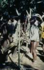 4037.jpg (88kb)