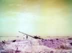 3545.jpg (65kb)