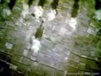 4080.jpg (77kb)