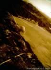 4083.jpg (63kb)