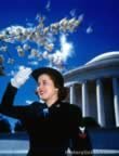 Pictures of Washington D.C. during WWII