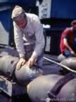 Picture of Bombs from ww2
