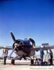 F4F & F8F Planes from WWII