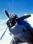F4F and F8F Planes from WWII