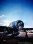 F4F and F8F Planes from WWII