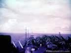 14795.jpg (48kb)