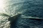 Pictures of Japanese Planes from WWII